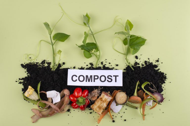 Read more about the article The Science of Composting: Combating Climate Change and Reducing Waste