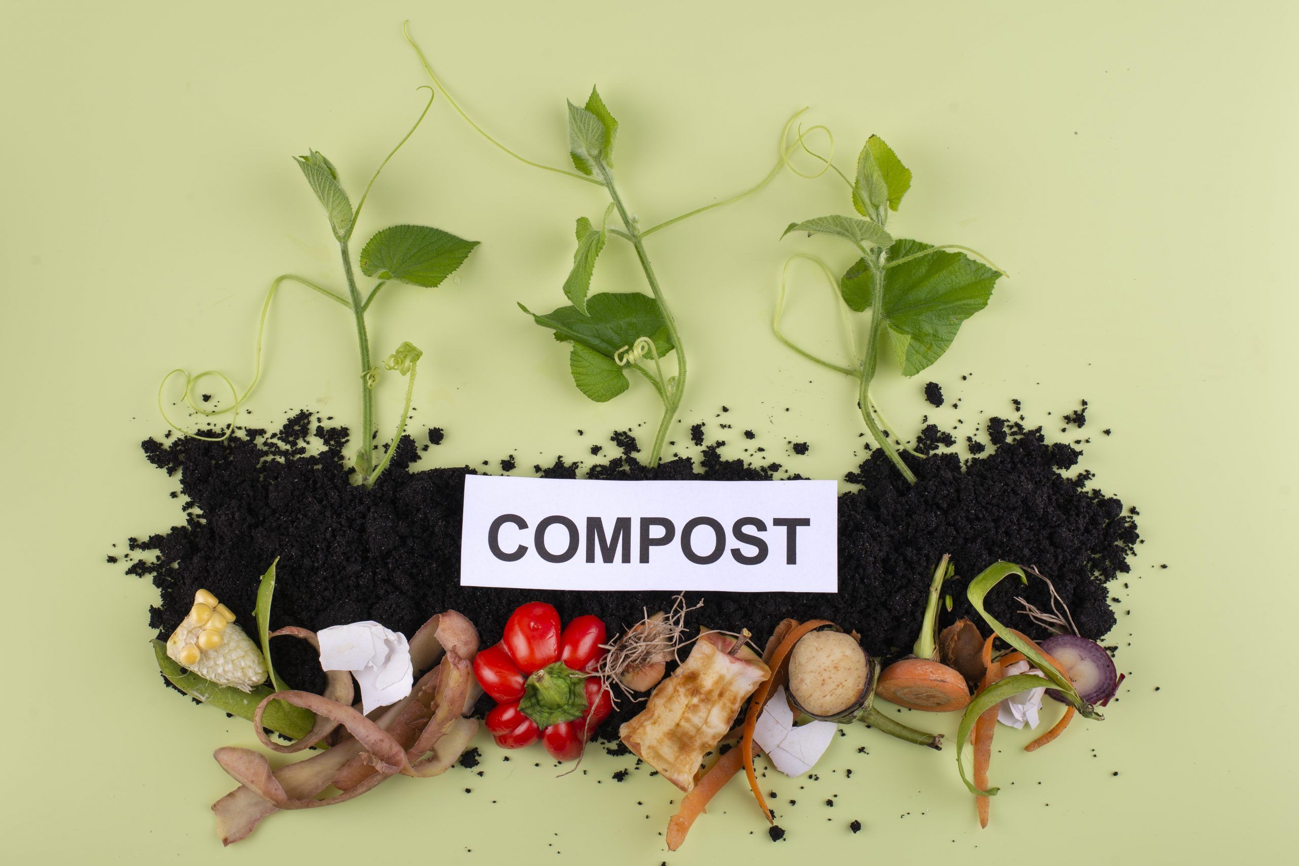 Read more about the article The Science of Composting: Combating Climate Change and Reducing Waste